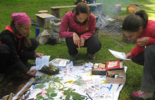 Weiterbildung Umweltbildung Naturerlebniszentrum Burg Schwaneck